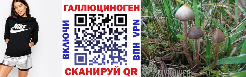 Псилоцибиновые грибы MAGIC MUSHROOMS  Арамиль 